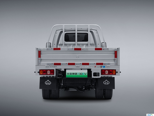 2024 コンフォート ミニトラック 小売電気自動車 自動車 商用車 T30EV 電気自動車