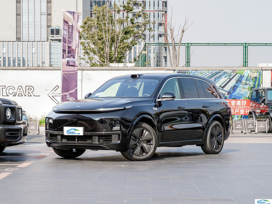 リキヤング L8-2024 5080*1995*1800MMの車体構造の最大乗用車エネルギー車両