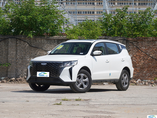 繊維用シート 販売用 ガソリン用 乗用車 ジーリー・ハオウエ・プロ 1.5T