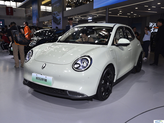 電気自動車市場向け401kmの走行距離 2024 Ora Good Cat EVハッチバック 乗用車