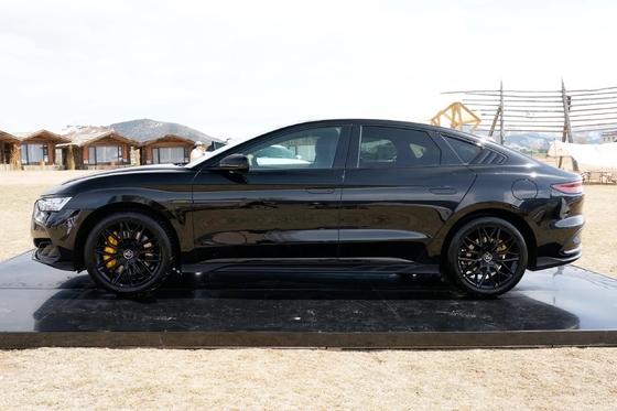 エネルギータイプ PHEV Han Dm-2024 Dm-P アレス版 広々とした中型車