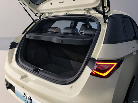 CGC BYD ドルフィン 2024 5 ドア 5 シート ハッチバック EV 電動車 SUV セダン