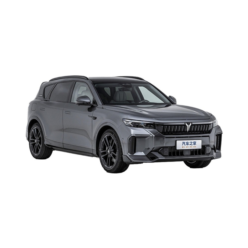2025 エネルギー用車 5ドア5座のSUV ハイブリッド電気自動車