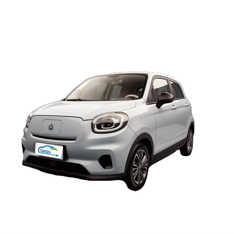 リップモーター T03 2024 200km ミニカーの電気旅客輸送のための最良の選択